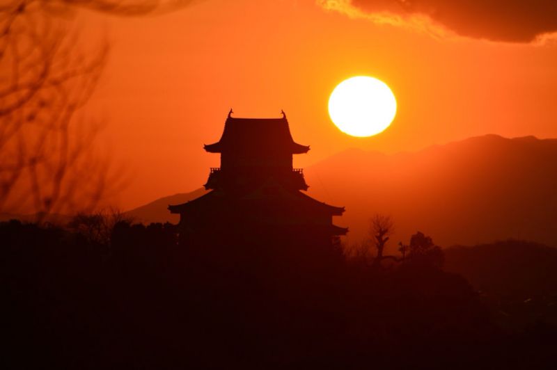 Thu phân Nhật Bản